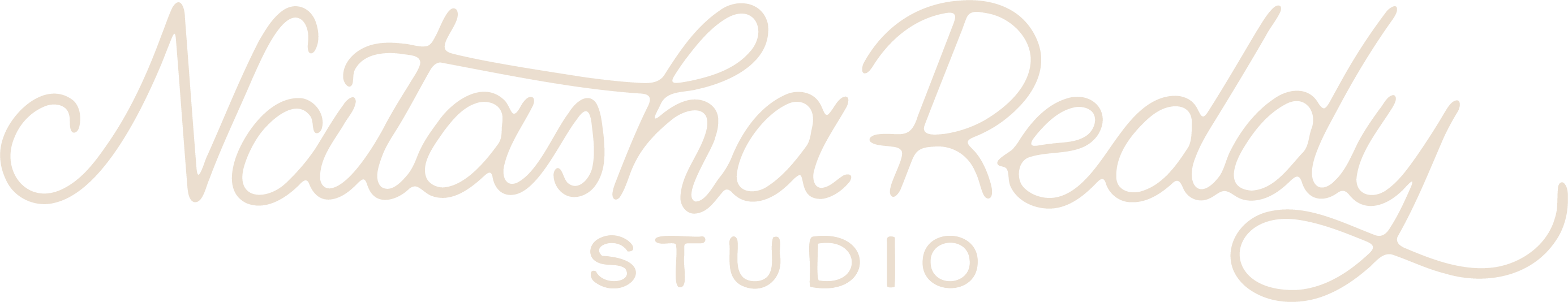 Natasha Reddy Studio