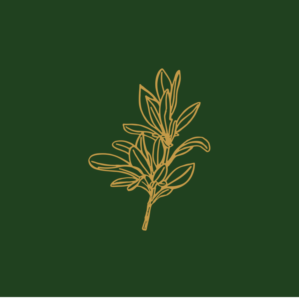 Animated GIF showcasing the different botanical brand icons for The House of Botanicals