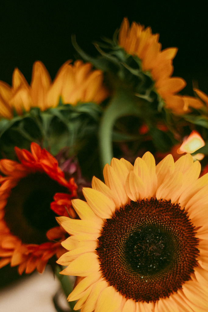 Brand Photography for Florists