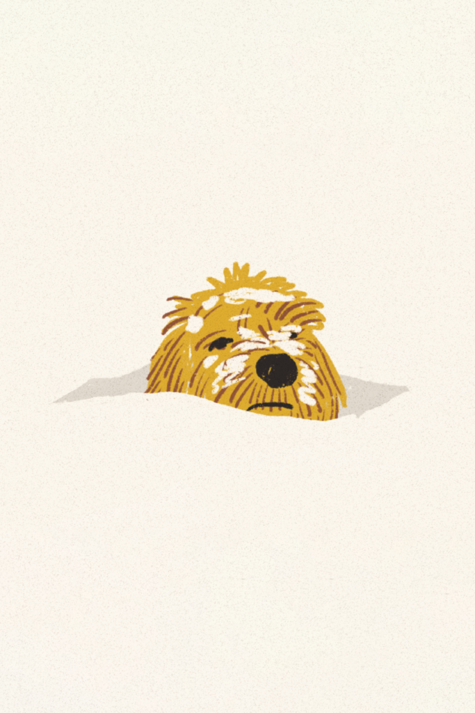 Dog Illustration
