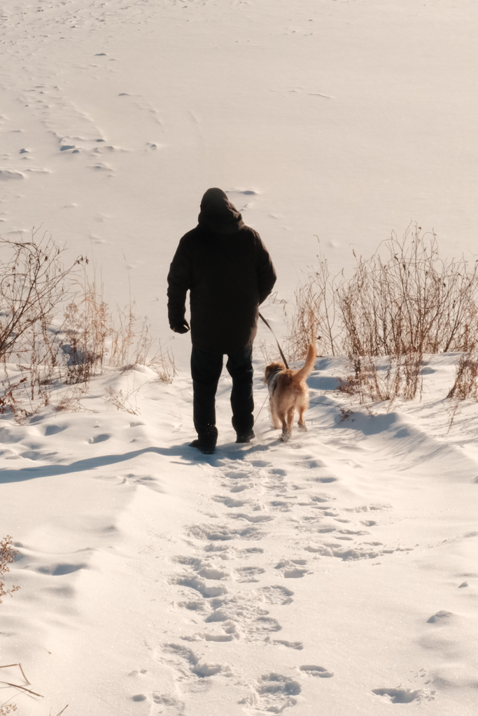 Ottawa Lifestyle Pet Photography Photoshoot
