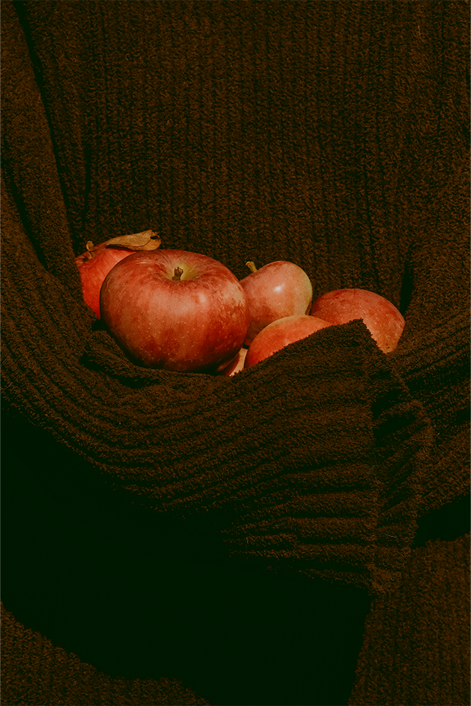 Ottawa Film-Inspired Photography